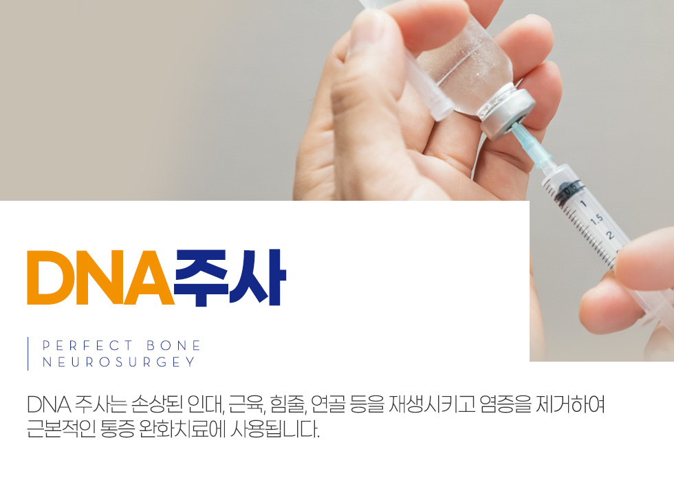 ����ġ�� - DNA �ֻ�